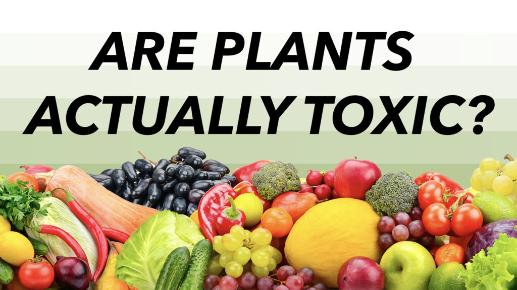 Are Plants Toxic?