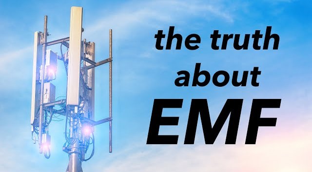 Understanding EMF: Risks, Sources, and Health Implications