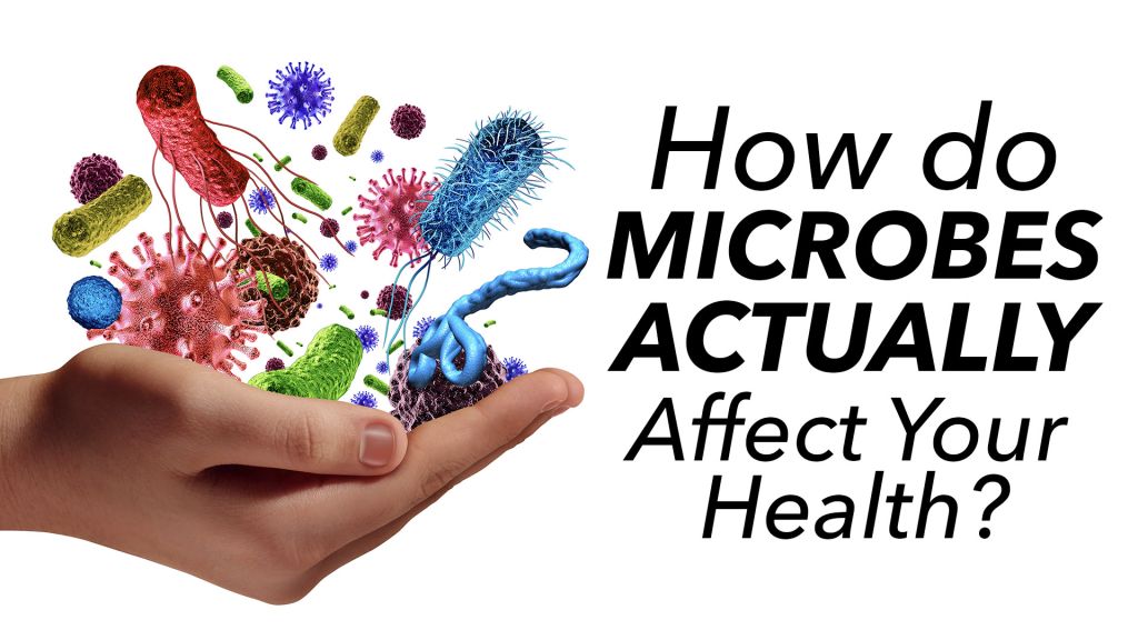 Understanding Microbes: A Holistic Approach to Health