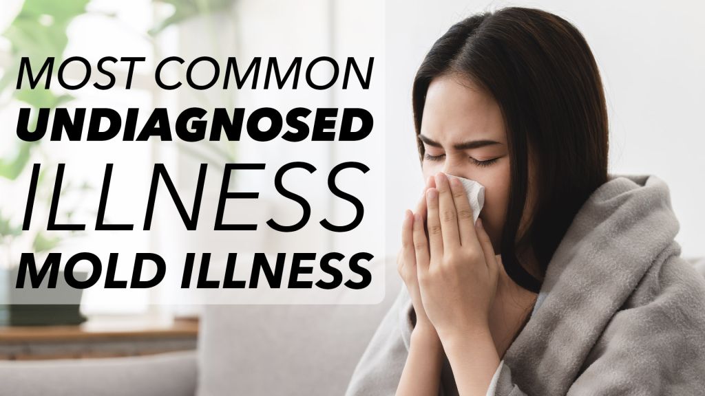 Unraveling the Complexity of Mold Illness: A Comprehensive Guide